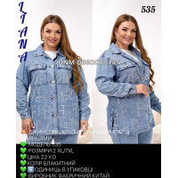 Liana  Сорочка джинсова блакитного кольору 2XL-7XL 535 