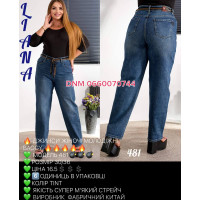 Liana  Баггі джинси іржавого кольору 30-36 481