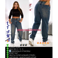 Liana  Баггі джинси іржавого кольору 31-36 479